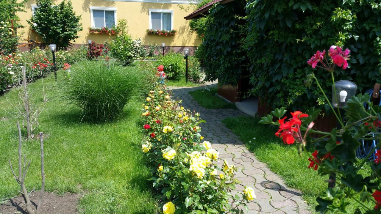 Pension Delia Gardens Timisoara Exterior photo