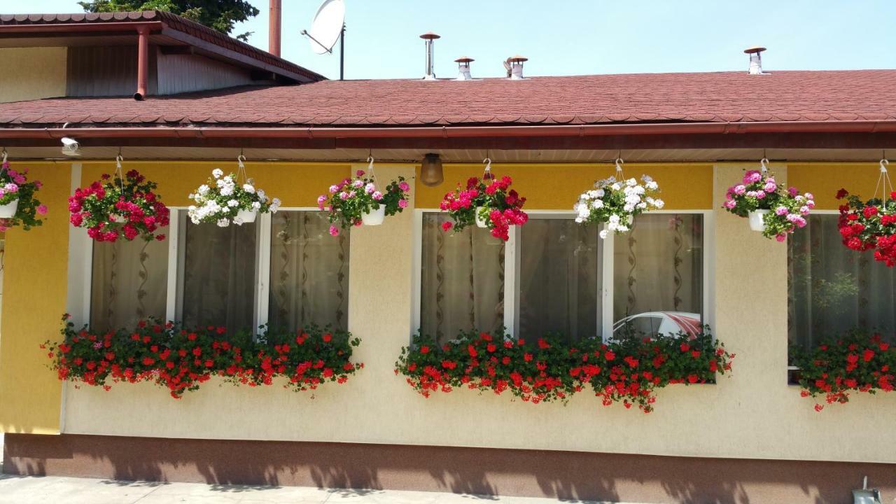 Pension Delia Gardens Timisoara Exterior photo