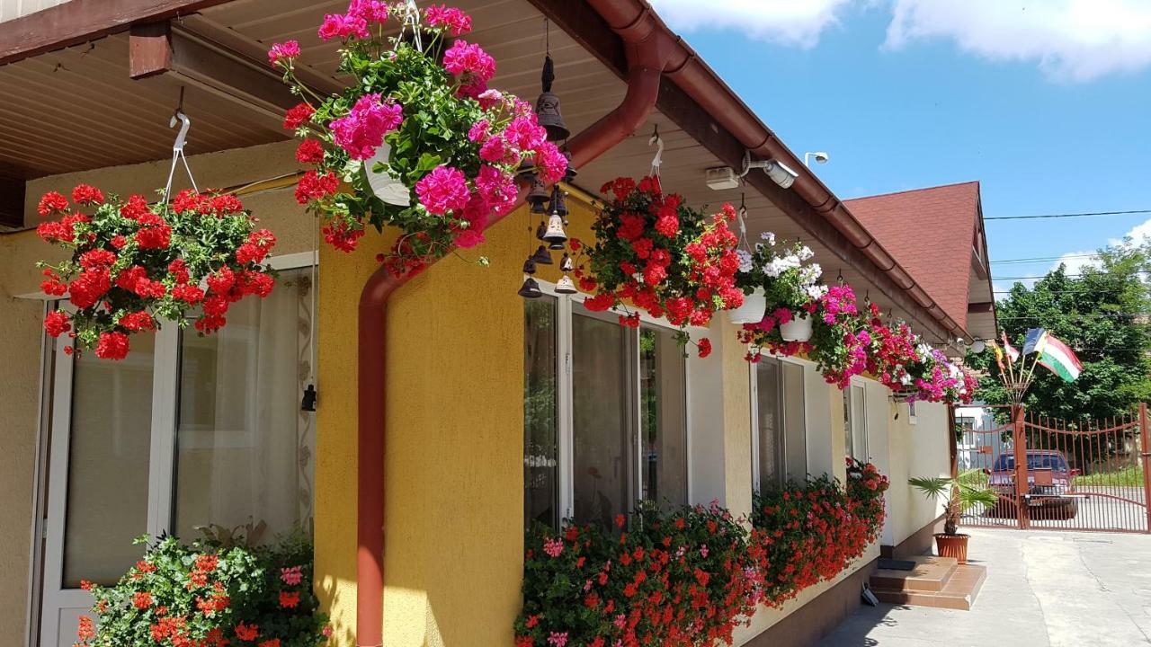 Pension Delia Gardens Timisoara Exterior photo