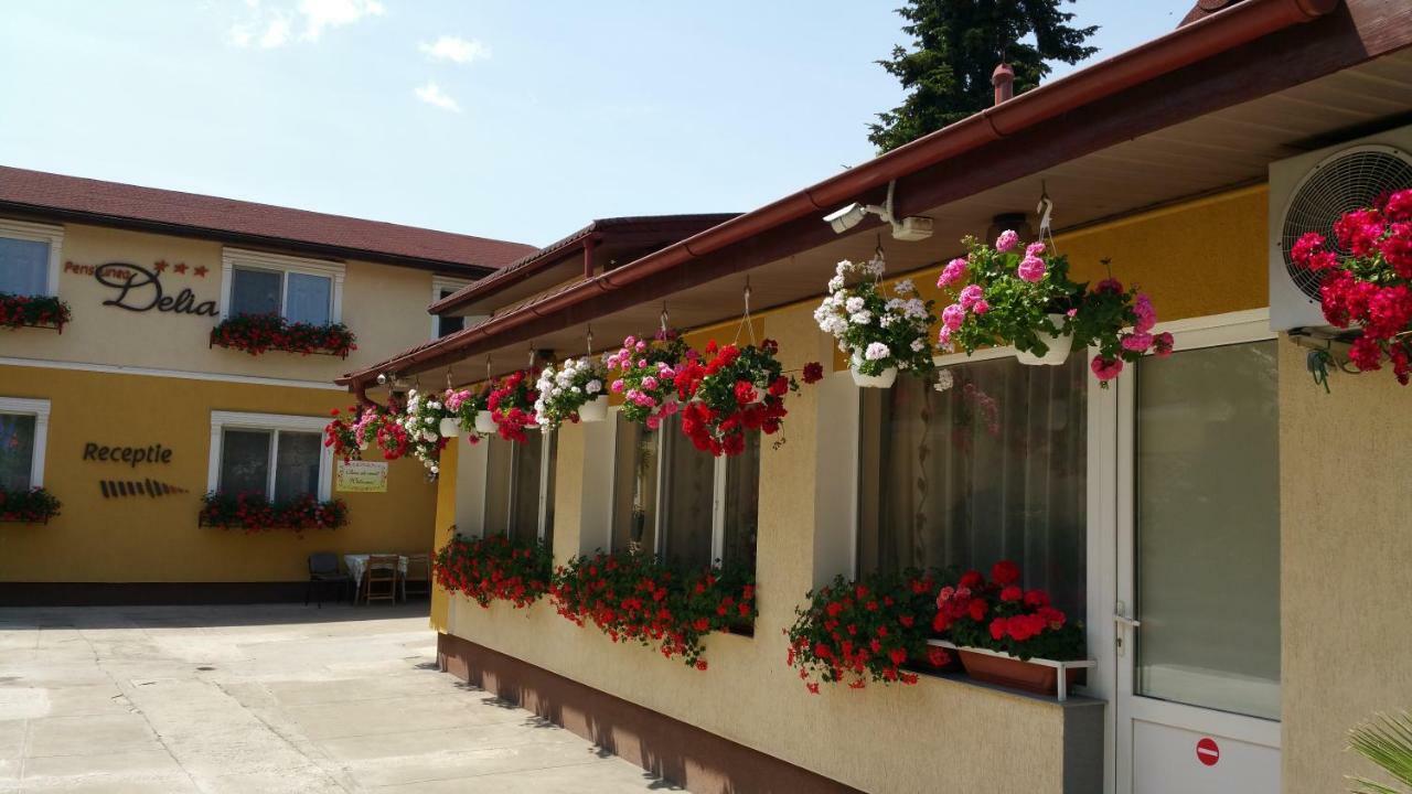 Pension Delia Gardens Timisoara Exterior photo